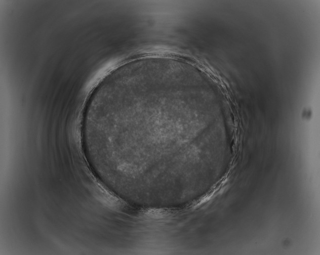 X0000099950341200806201318