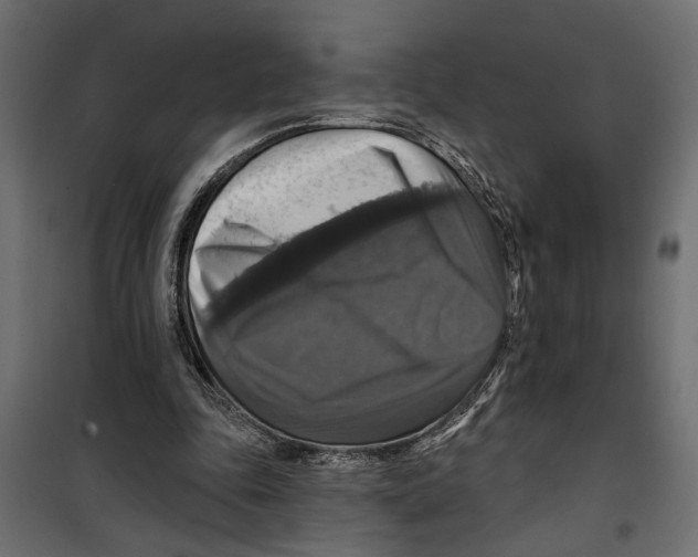 X0000099950343200806201318
