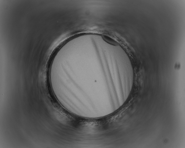 X0000099950344200806201318