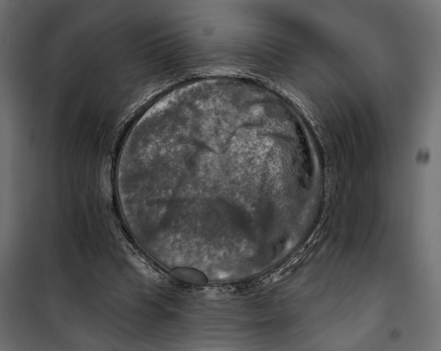 X0000099950345200806201318