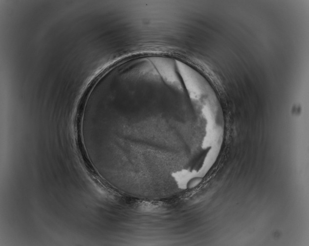 X0000099950346200806201318