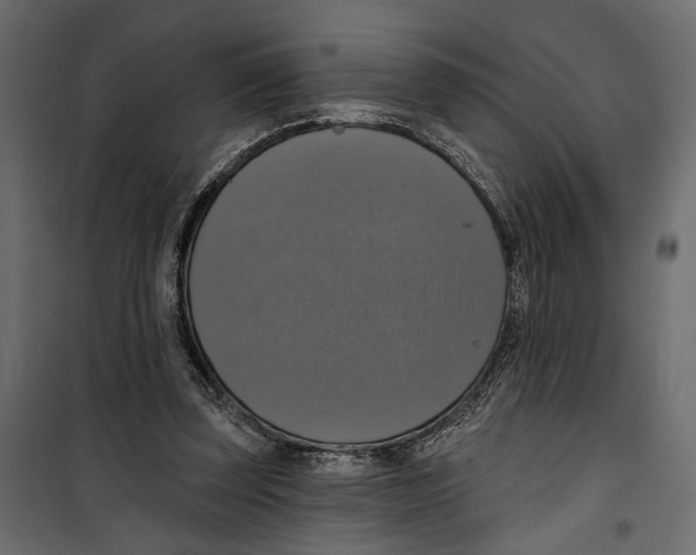 X0000099950347200806201318