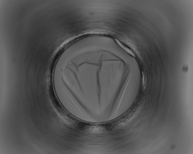X0000099950348200806201318