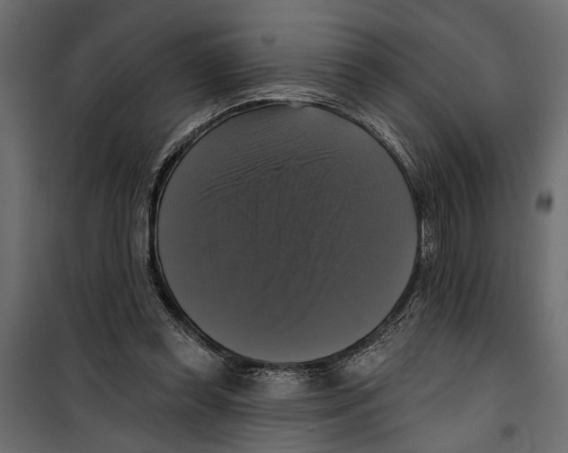 X0000099950349200806201318