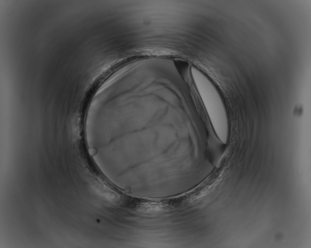 X0000099950351200806201319