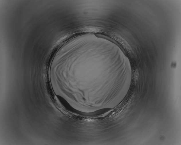 X0000099950352200806201319