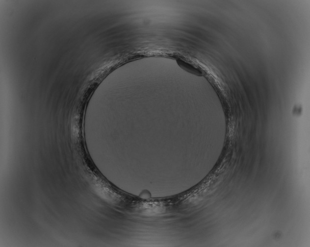 X0000099950353200806201319