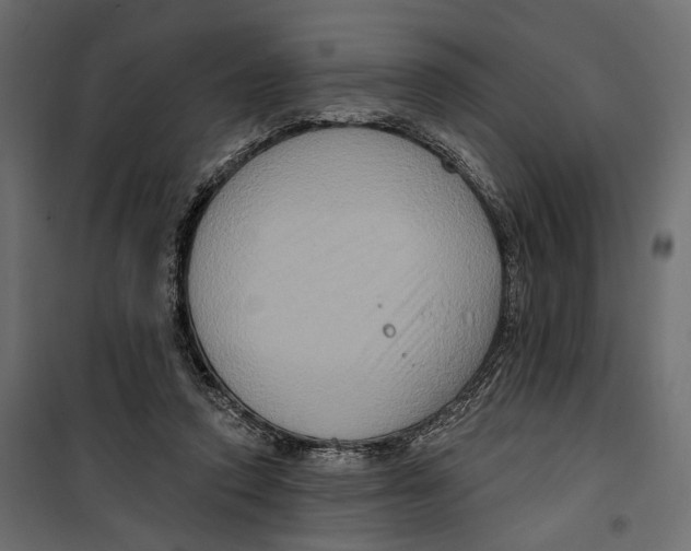 X0000099950354200806201319