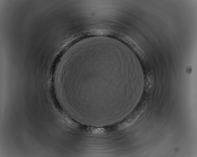 X0000099950355200806201319