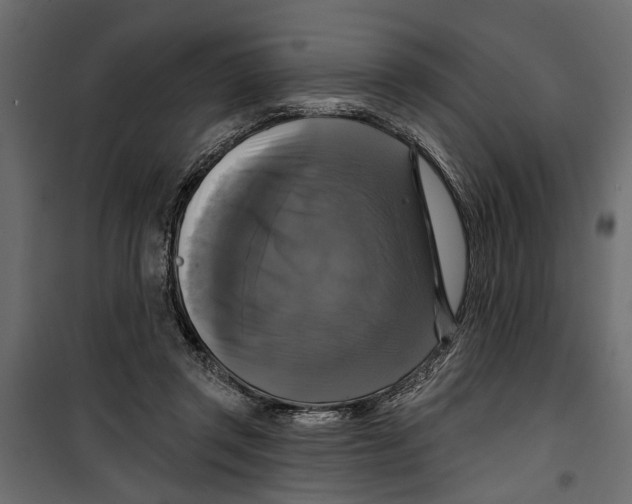 X0000099950357200806201319
