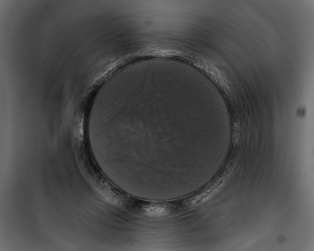 X0000099950358200806201319
