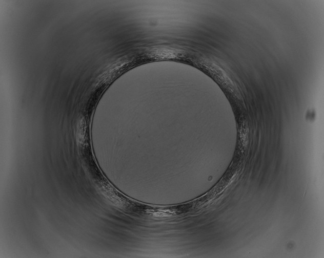 X0000099950359200806201319