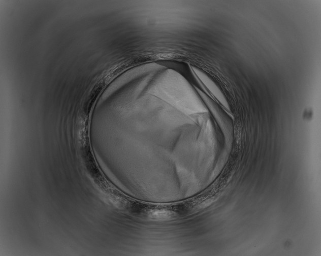 X0000099950360200806201319