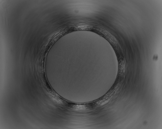 X0000099950361200806201319