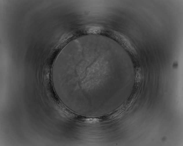 X0000099950363200806201319