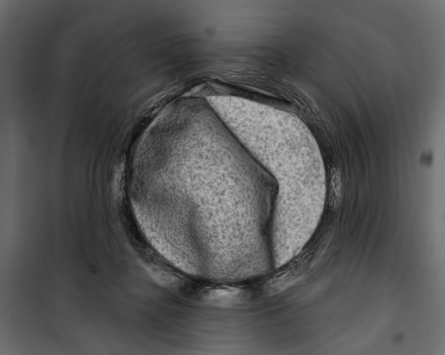 X0000099950364200806201319