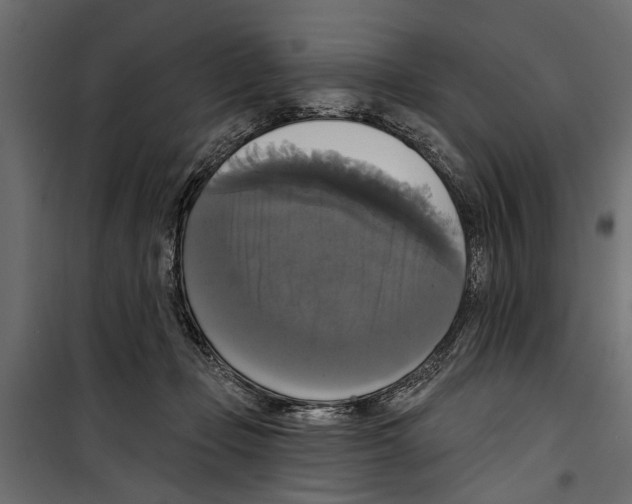 X0000099950365200806201319