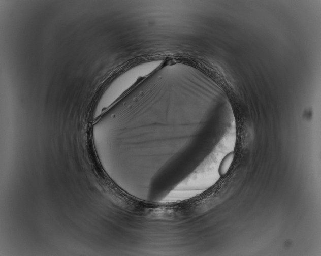 X0000099950366200806201319