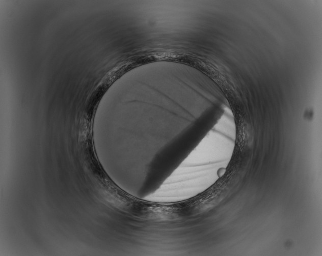 X0000099950367200806201319