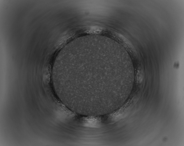 X0000099950370200806201319
