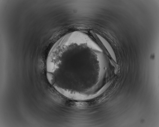 X0000099950371200806201319