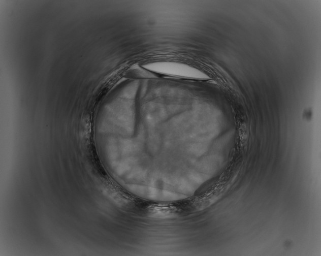 X0000099950372200806201319