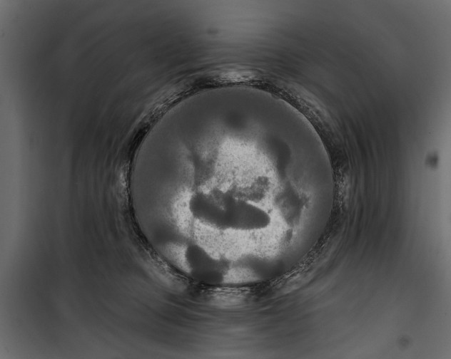 X0000099950373200806201319
