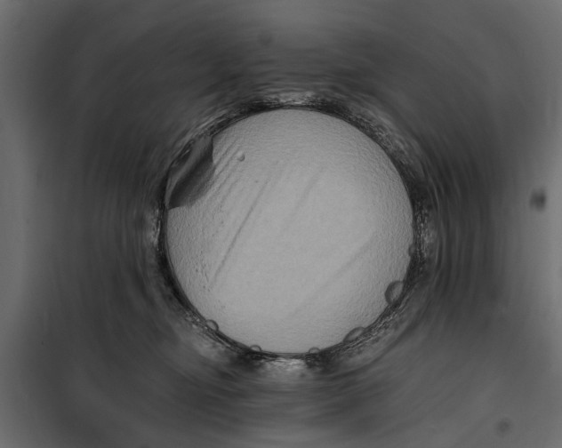 X0000099950374200806201319