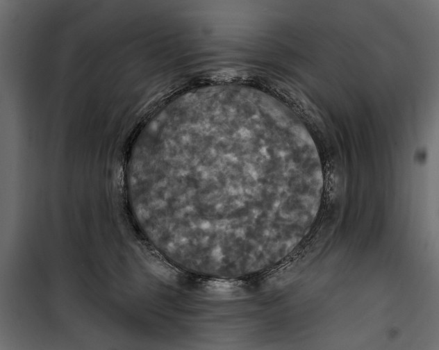 X0000099950375200806201319