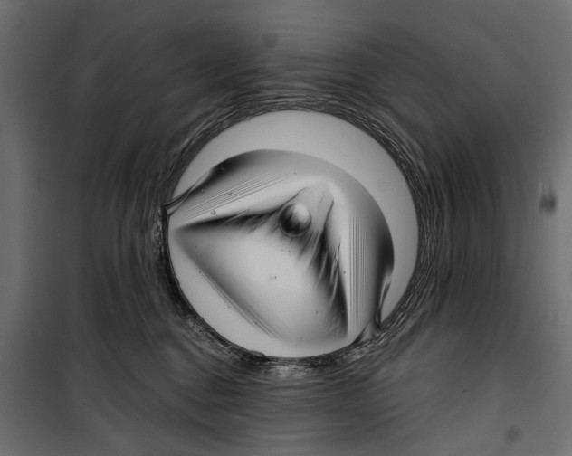 X0000099950376200806201319