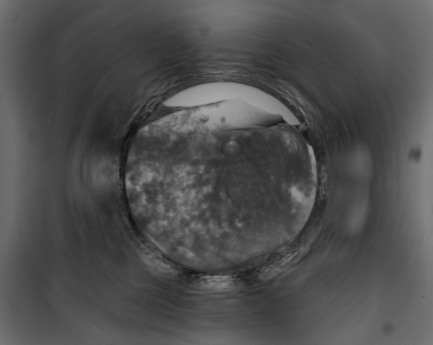 X0000099950377200806201319