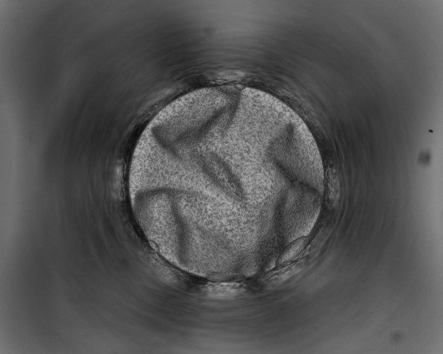X0000099950378200806201319