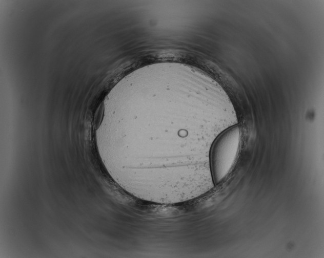 X0000099950379200806201319