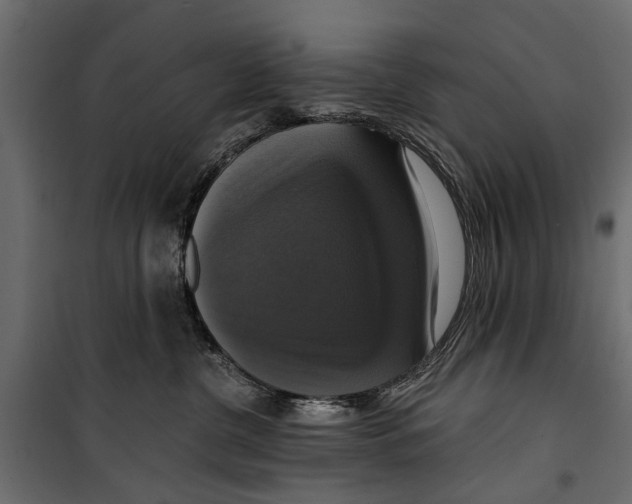 X0000099950380200806201319