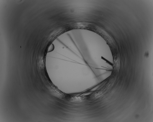 X0000099950381200806201319