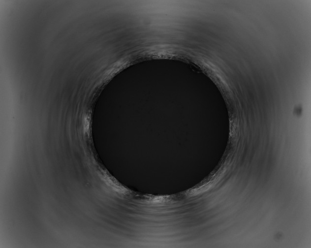 X0000099950382200806201319