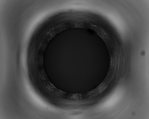 X0000099950383200806201319