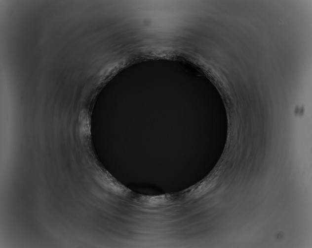 X0000099950384200806201319