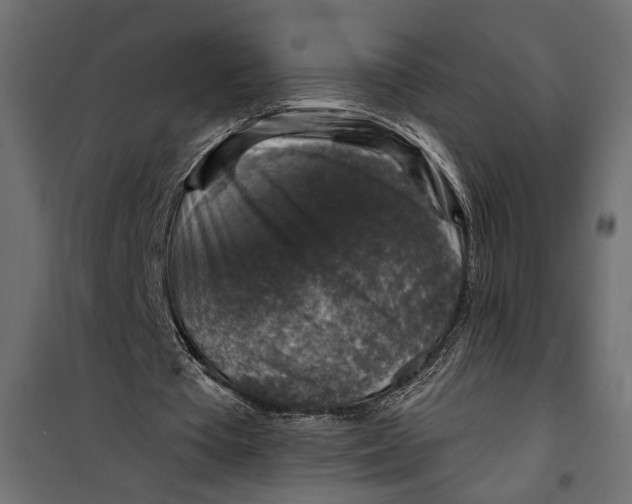 X0000099950385200806201318