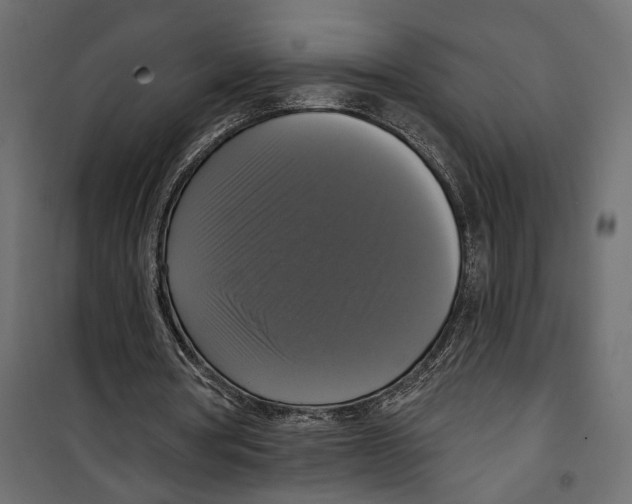 X0000099950386200806201318
