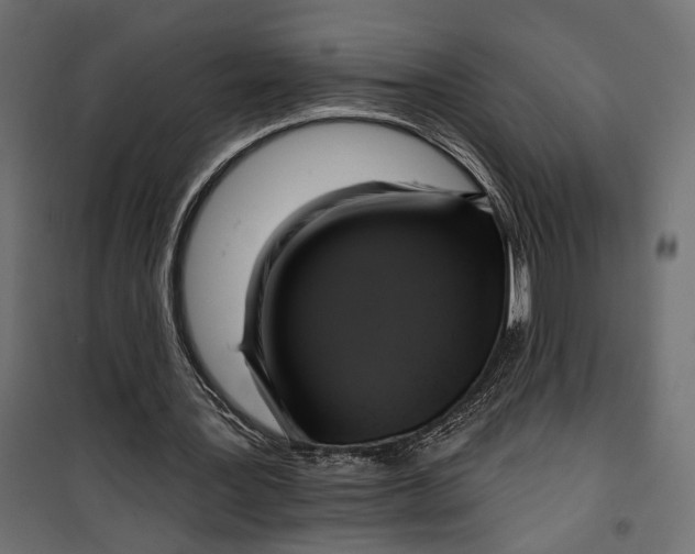 X0000099950387200806201318