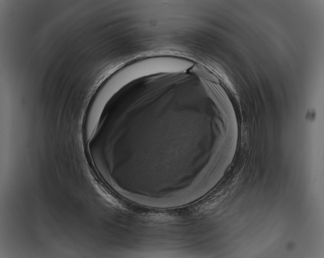 X0000099950389200806201318