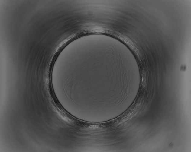 X0000099950390200806201318