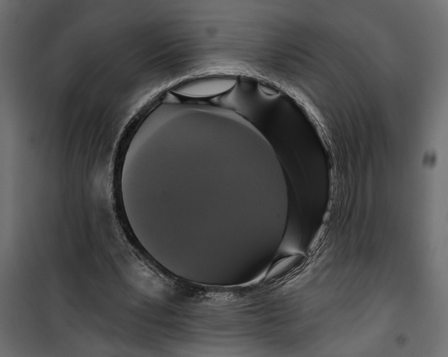 X0000099950391200806201318