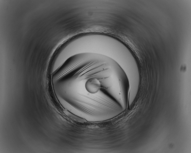X0000099950392200806201318