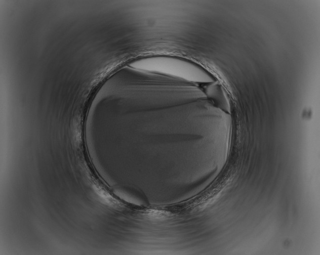 X0000099950393200806201318