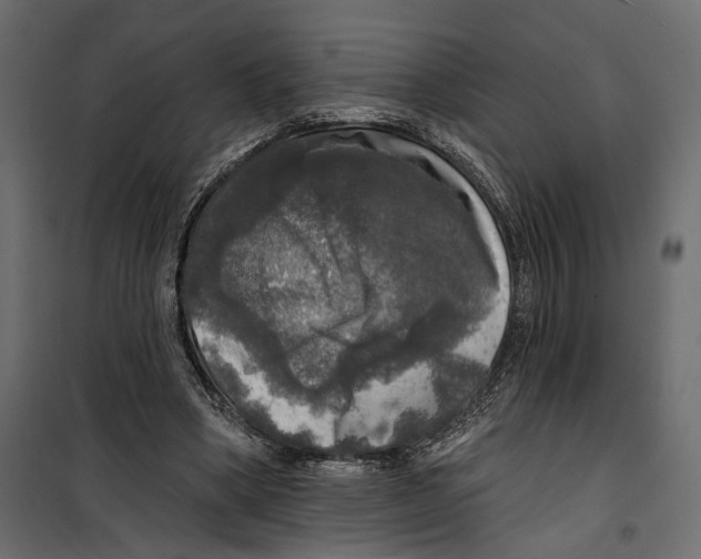 X0000099950394200806201318