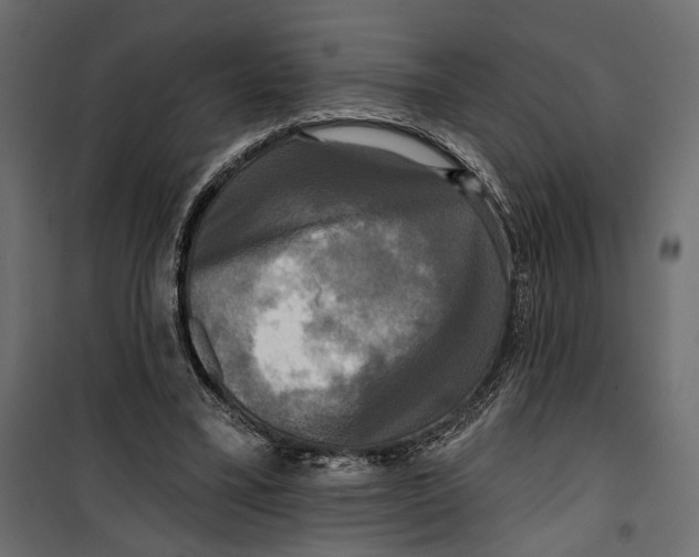 X0000099950395200806201318