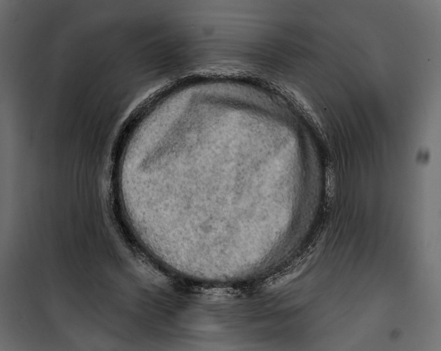 X0000099950396200806201318