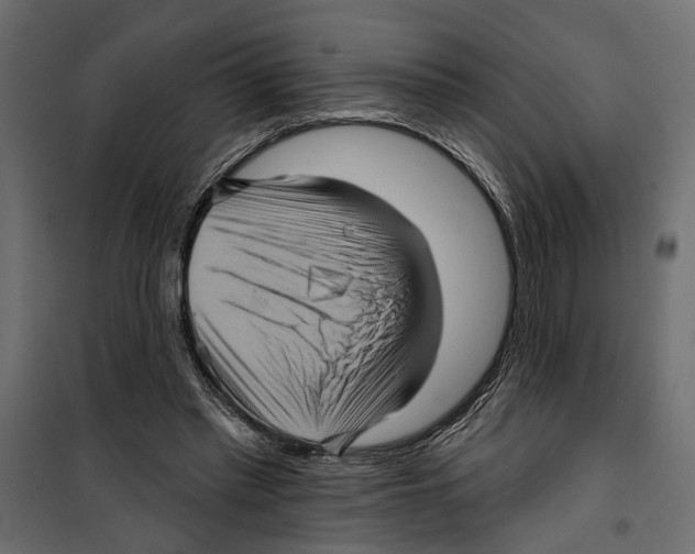 X0000099950397200806201318